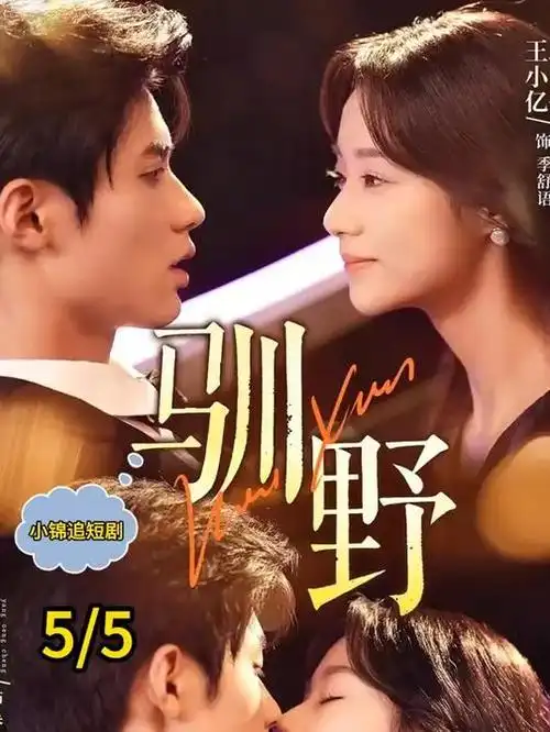长夜将尽 都市情感剧全集在线观看